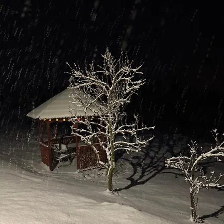 Wzgorze Artystow Feriehus *