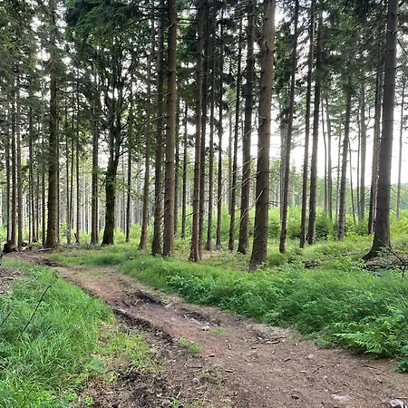 Wzgorze Artystow Feriehus