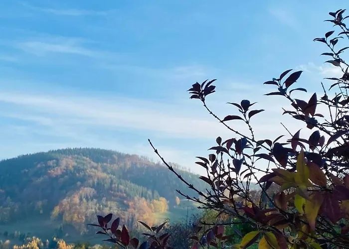 Hébergement de vacances Wzgorze Artystow *