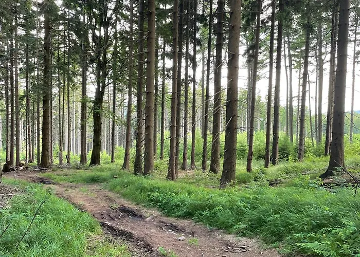 Wzgorze Artystow Casa vacanze