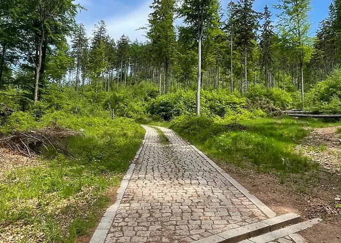 Wzgorze Artystow Hébergement de vacances